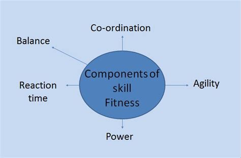 Components Of Skill Fitness