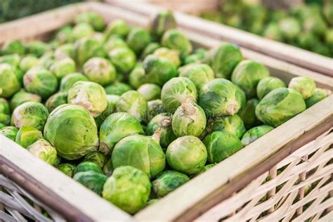 Organic Brussel Sprouts Vegetables At A Street Food Market Fair