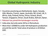 Pictures of Hydroponics Market Size