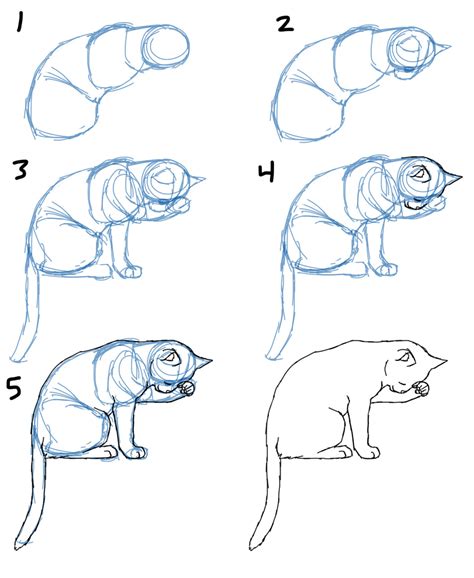 Savanna Williams How To Draw Cat Bodies In Poses