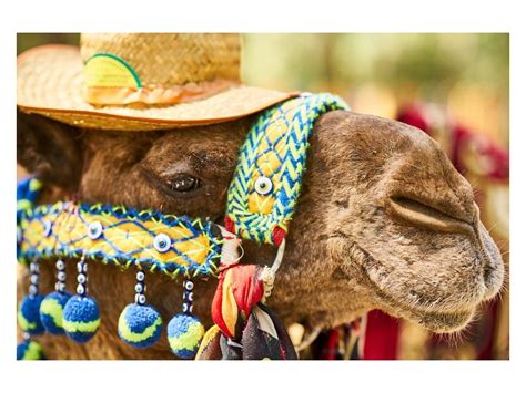 It isn't a massive change. COMMUNITY OPINION: Keeping the camel's nose out of someone ...