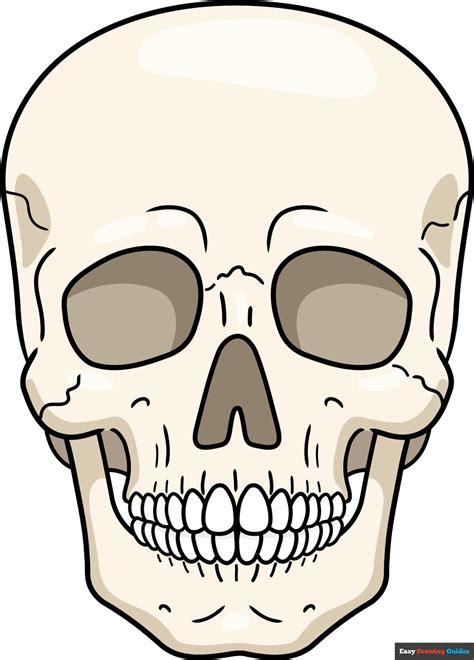 Skull Draw PNG