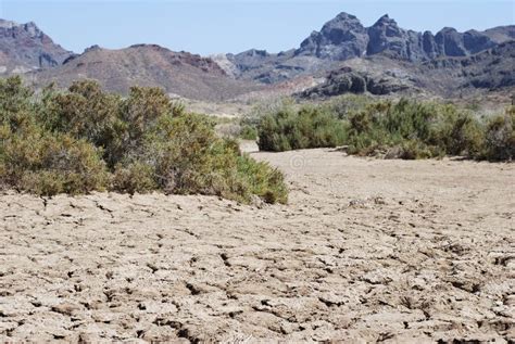 The Dry Land Stock Photo Image Of Dead Land Sunny Landscape 2732432
