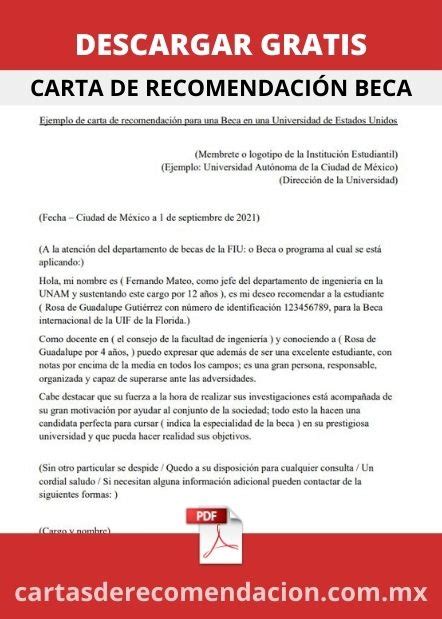 Ejemplo Carta De Recomendacion Academica Para Beca Opciones De Ejemplo Vrogue