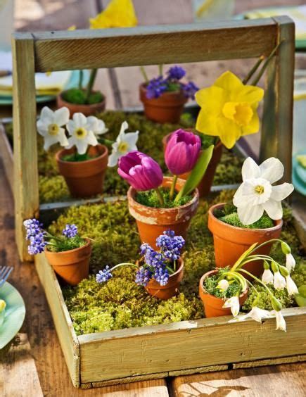 Moss Pots Spring Flowers Beautiful Display More Spring