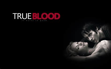 True Blood True Blood Wallpaper 7997624 Fanpop