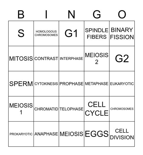 Mitosis And Meiosis Bingo Card