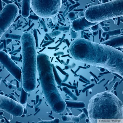 We Need Friendly Bacteria