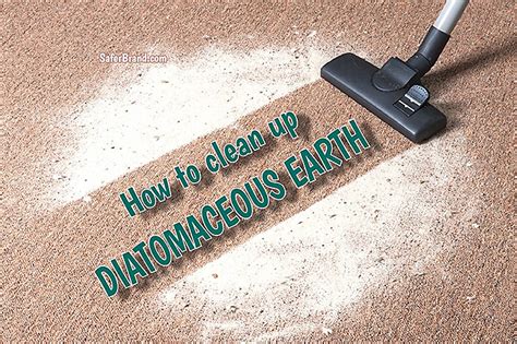 You should use kitchen or garden gloves while handling it as de can dry your skin out very quickly. Diatomaceous Earth Food Grade Fleas Carpet | Taraba Home ...
