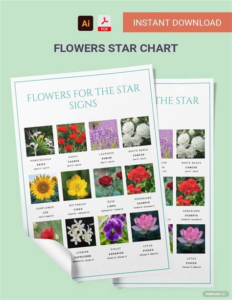 Flowers Star Chart In Pdf Illustrator Download