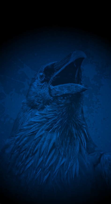 We tweet for our fans. Adelaide Crows iPhone X Wallpaper | Splash this wallpaper ...