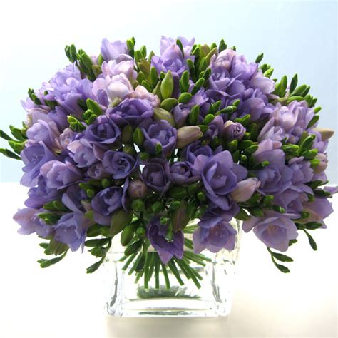 Check spelling or type a new query. Flowers in Season: April | BridalGuide