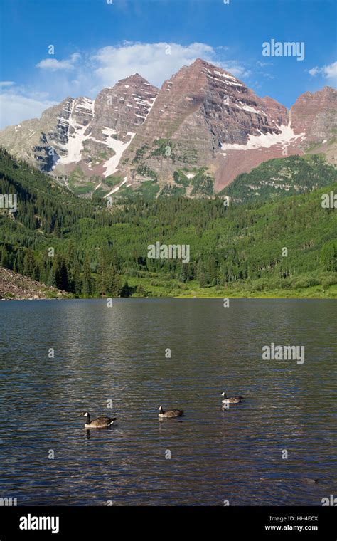 Maroon Lake Foreground Maroon Bells Peaks Background Maroon Bells