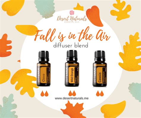 Fall Diffuser Blends | Fall essential oils, Fall diffuser ...