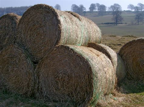 Free Stock Photo Of Round Hay Bales Stacked In A Field Photoeverywhere