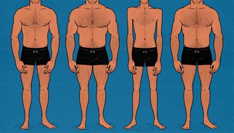 Visualizza Internet Fresa Appena Female Preference Male Body Type