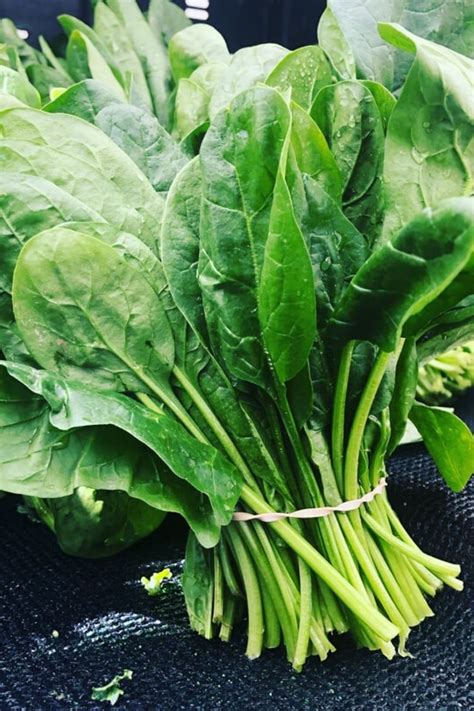 Overall, research into the effects of folic acid on hair growth is mixed. Can spinach make your hair grow? in 2020 | Vegetables ...