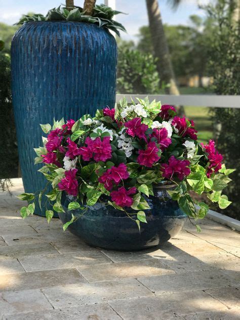 Maybe you would like to learn more about one of these? 17 Ideas for plants outdoor florida | Hanging plants ...