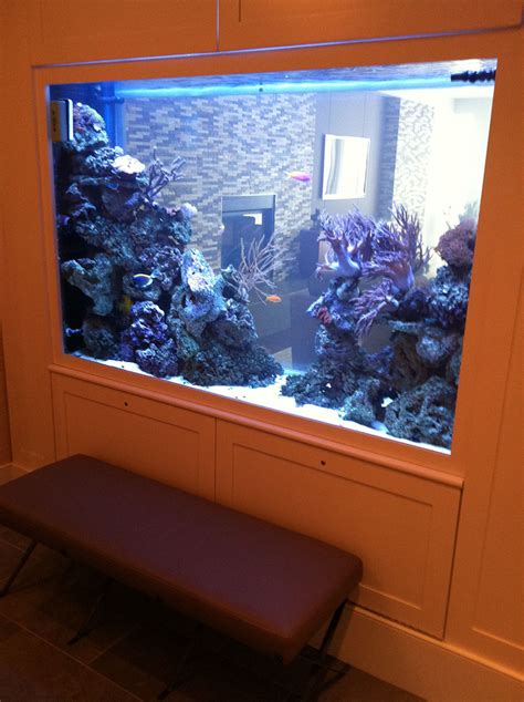 Restaurant Armco Aquariums Serving Philadelphia Wilmington De Pa