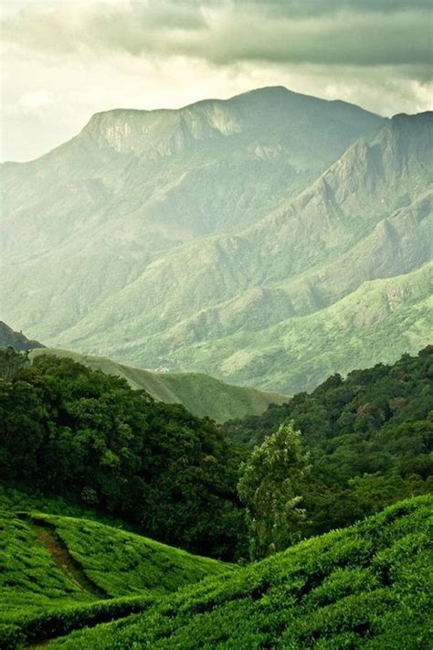 Mountains In Kerala Tourist Places To Visit In Kerala Beauty Of
