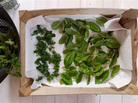 Astuces DIY Sécher et conserver les aromatiques du jardin