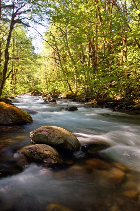 Images Gratuites Paysage Arbre Eau La Nature Roche Cascade