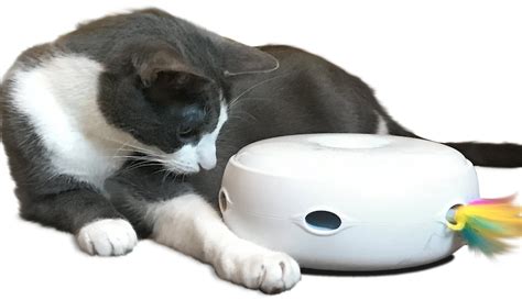 Petfusion Ambush Interactive Electronic Cat Toy