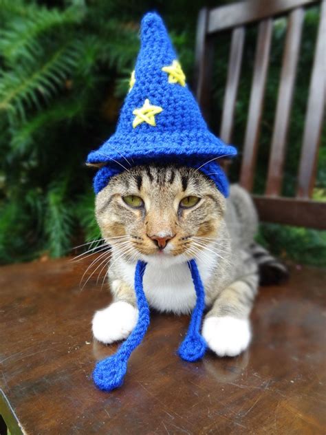 Wizard Cat Hat Wizard Cat Costume The Wizard By Iheartneedlework 18