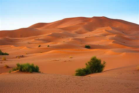 Последние твиты от western sahara (@wsrw). Hotspot - Western Sahara - Geographical Magazine