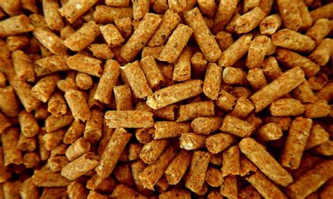 Northern Ireland's compound animal feed sector continues to grow