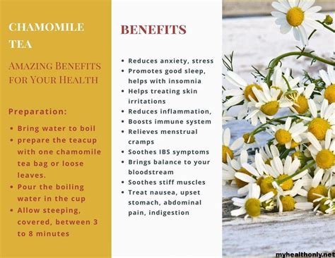 Let's see how drinking this tea can help us. 8 Special Benefits of Chamomile Tea, You must to know - My ...