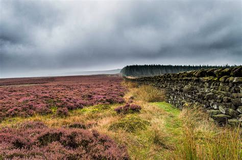 The Wild Moors Of Yorkshire On Behance