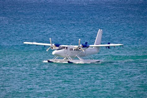 Seaplane Definition And Meaning Collins English Dictionary