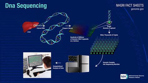 next generation sequencing ngs soluciones para la secuenciación de adn venco electrónica