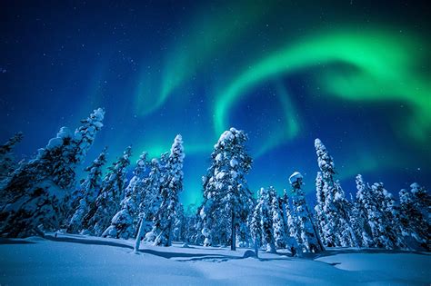 Photos Lapland Region Finland Aurora Winter Nature Snow Night Trees
