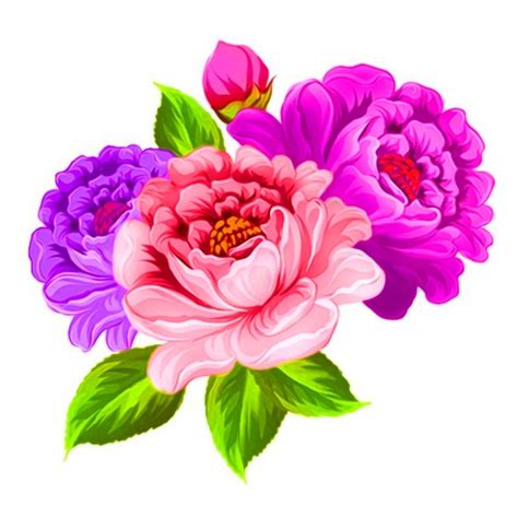 Premium Vector A Bouquet Of Pink And Purple Flowers On A White Background