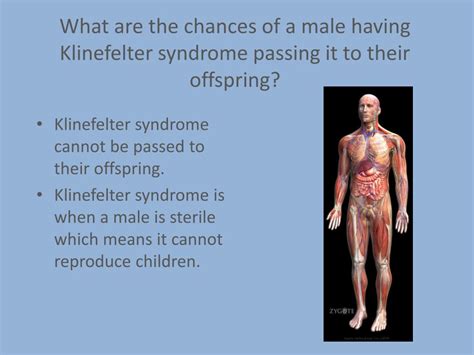 ppt klinefelter syndrome powerpoint presentation free download id 6730570