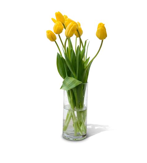 Flower Vase PNG Free Download | PNG Mart gambar png