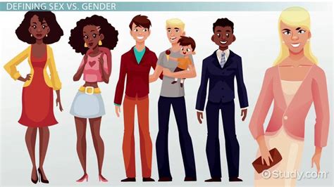 Sex And Gender In Society Differences And Characteristics Lesson