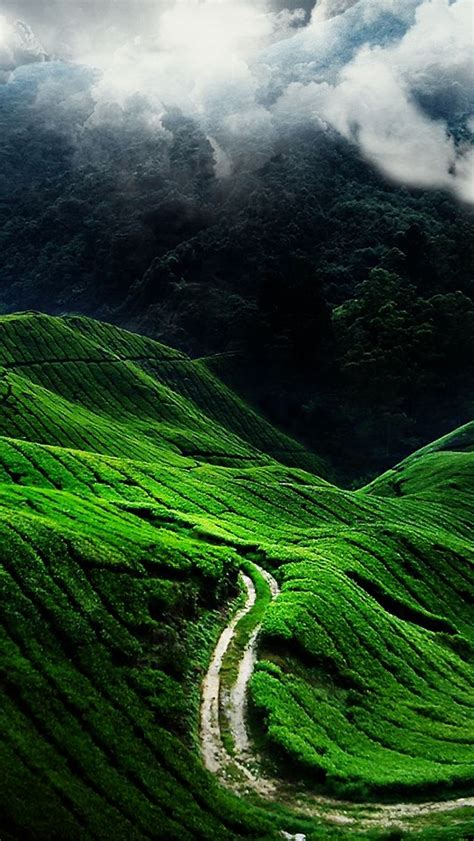 Green Mountains Iphone 5 Wallpaper Ilikewallpapercom 640×1136 Pixels Beautiful Nature