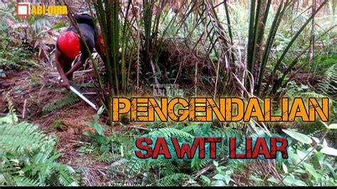 Check spelling or type a new query. PENGENDALIAN GULMA - CARA PENGENDALIAN SAWIT LIAR - YouTube