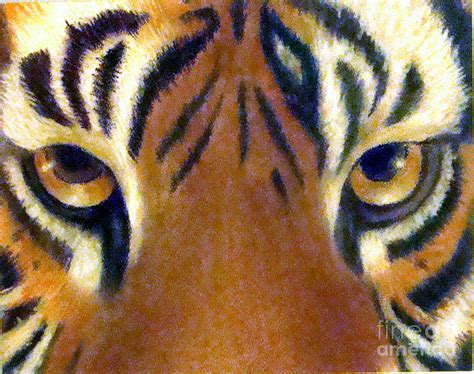 Eye Of The Tiger Pastel By Lamarr Kramer Fine Art America
