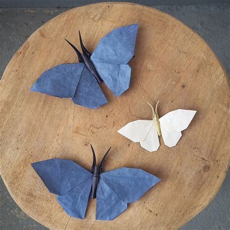 Paper Metamorphosis Beautiful Looking Origami Butterflies