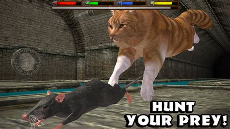 Ultimate Cat Simulator Br Apps E Jogos