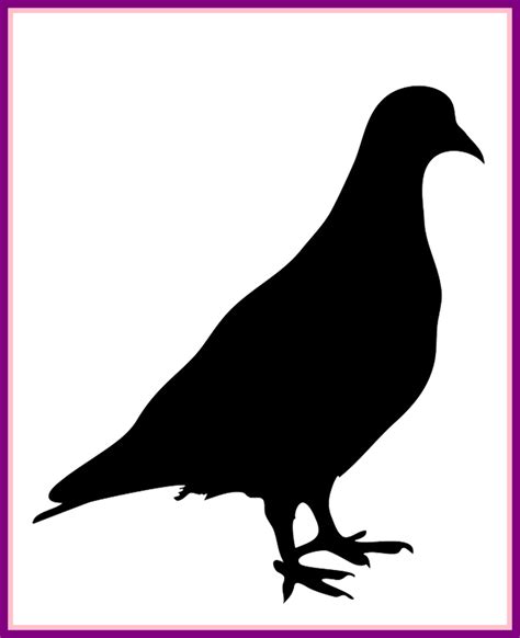 Pigeon Clipart Outline Pigeon Outline Transparent Free For Download On