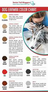 Dog Ear Wax Color Chart When Color Can Indicate A Problem