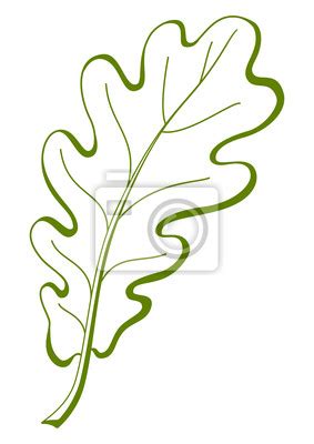 Liść dębu drzewa, wektor - Naklejki - Redro | Leaf drawing, Leaf symbol ...