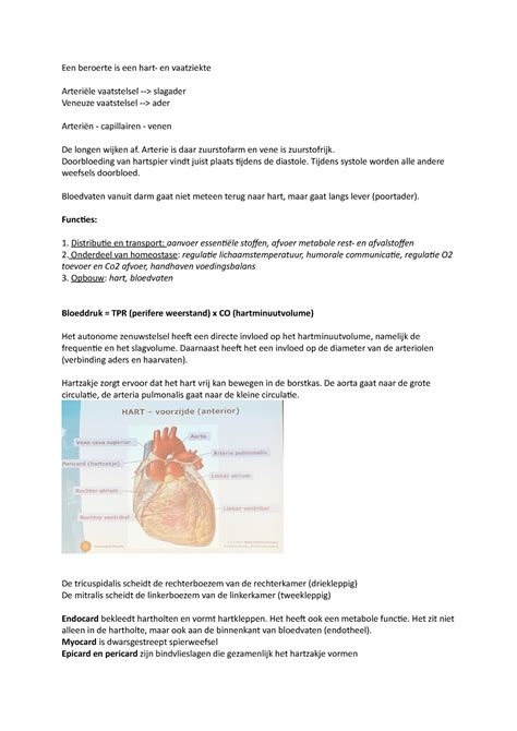 Hoorcollege 2 Ba106 Een Beroerte Is Een Hart En Vaatziekte Arteriële