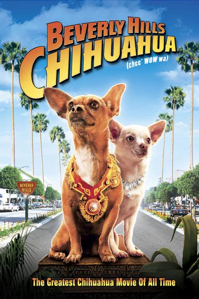 Beverly Hills Chihuahua Wikifur
