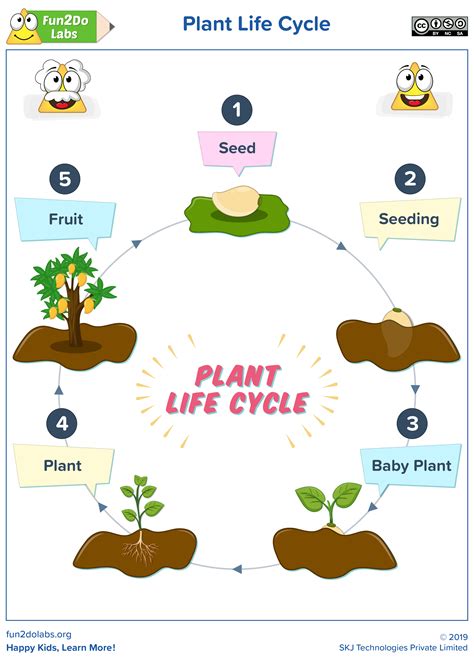Free Printable Life Cycle Of A Plant Free Templates Printable
